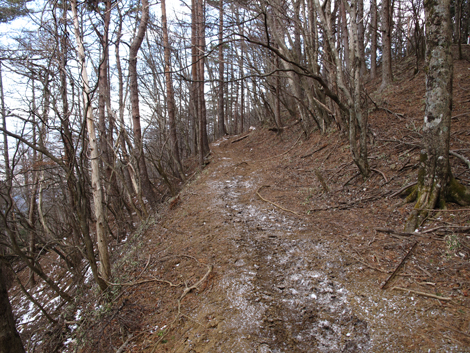 20181214hike (490)